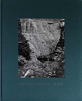 dam, book cover